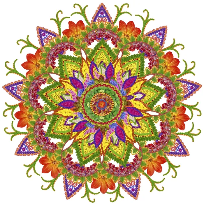 Framed Print : Floral mandala - the Sacred Nine Rays Sun - made from vivid summer flowers and plants Framed Print : Floral mandala - the Sacred Nine Rays Sun - made from vivid summer flowers and plants