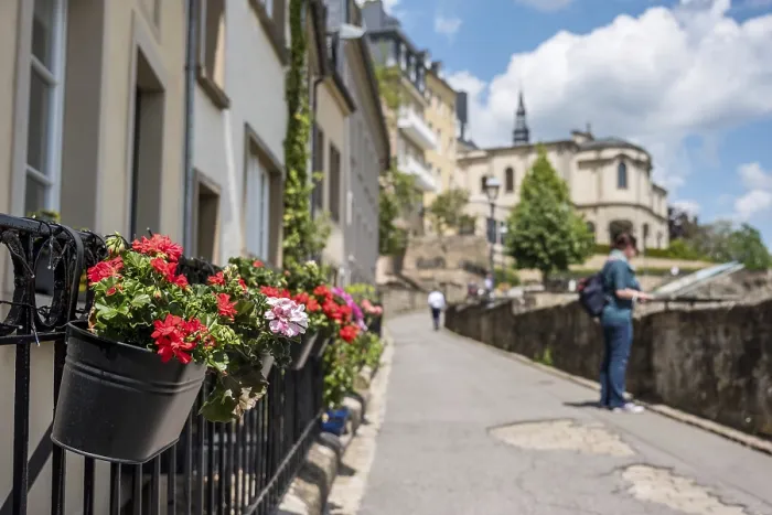 Framed Print : Flower boxes in Luxembourg