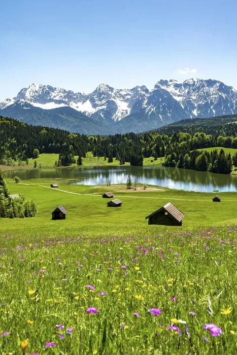 Framed Print : Flower meadow with hay barn at Geroldsee Framed Print : Flower meadow with hay barn at Geroldsee