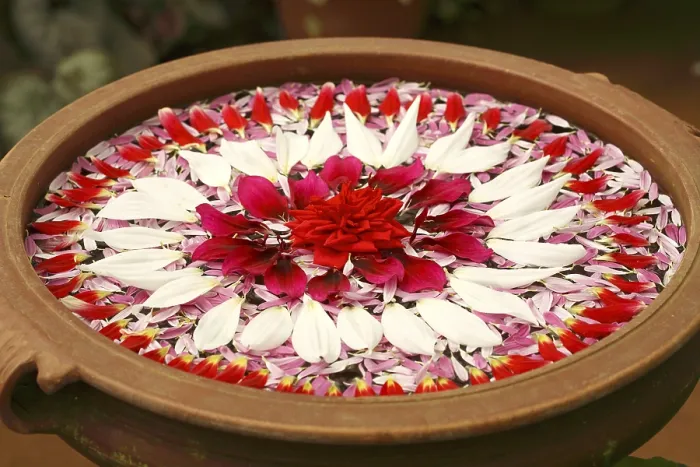 Framed Print : Flower petals decoration floating on water in earthen pot