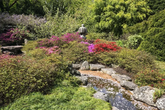 Framed Print : Flowering plants in the Japanese Garden
