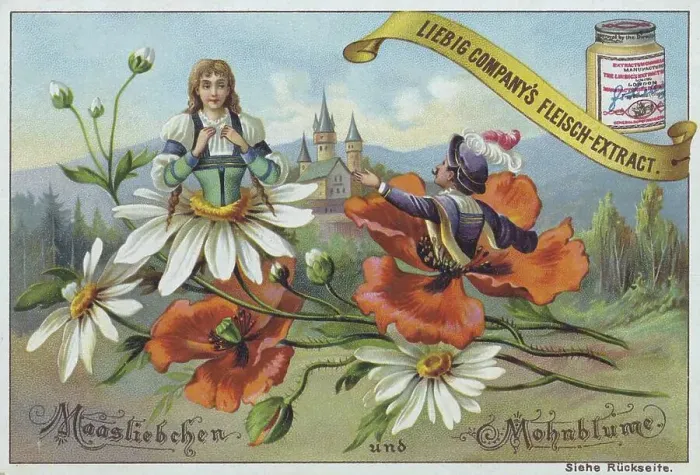 Framed Print : Flowers and legends series, Maasliebchen and Mohnblume