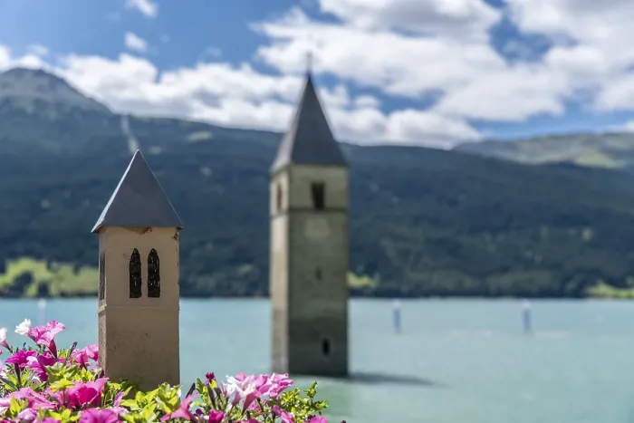 Framed Print : Flowers in front of a sunken church tower in Lake Reschen in South Tyrol