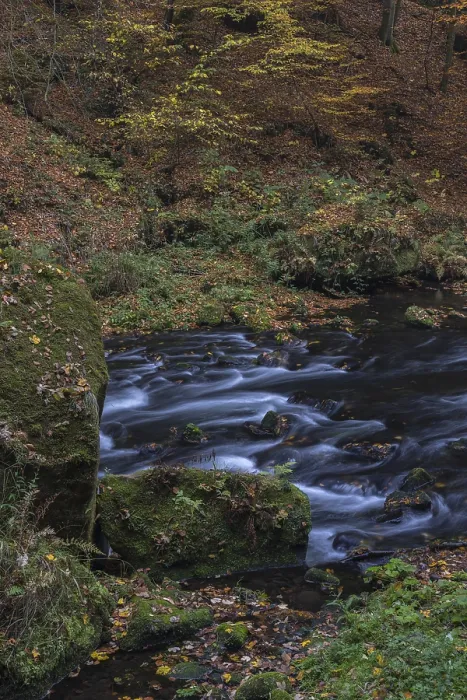 Framed Print : Flowing water with ferns and rocks in the Edmunds Gorge in autumn