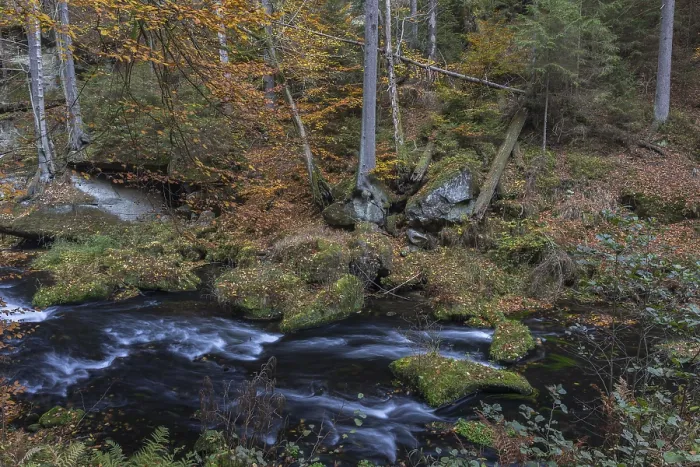 Framed Print : Flowing water with ferns and rocks in the Edmunds Gorge in autumn