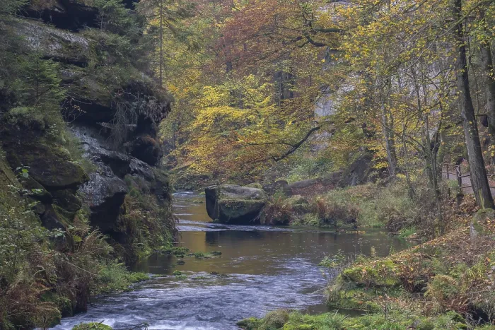 Framed Print : Flowing water with ferns and rocks in the Edmunds Gorge in autumn