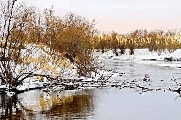 Framed Print : Flowing water and snow-covered trees on the shore with sunset sky background