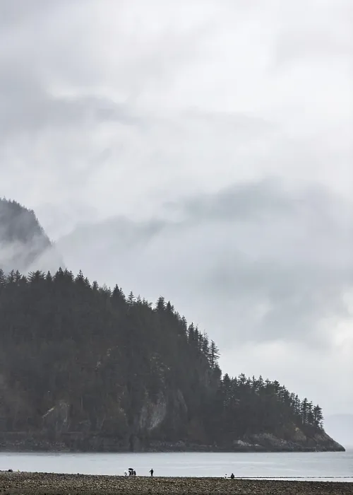 Framed Print : Fog-enveloped mountains with trees