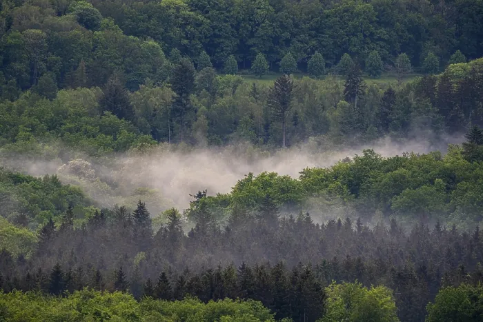Framed Print : Fog over the forest near Tholey Framed Print : Fog over the forest near Tholey
