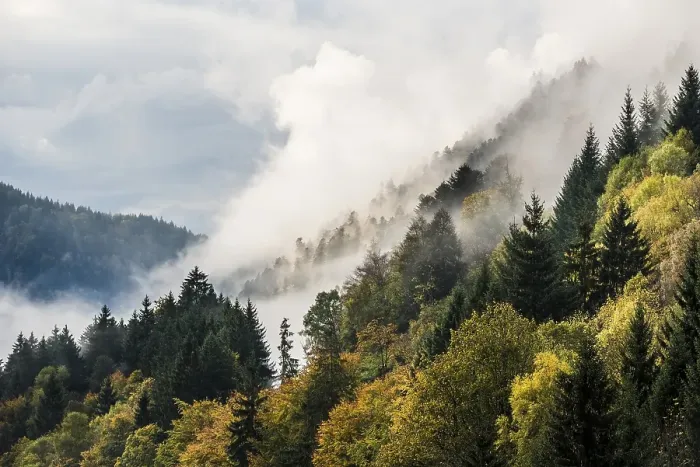 Framed Print : Fog in the Hoellental valley, autumn Framed Print : Fog in the Hoellental valley, autumn