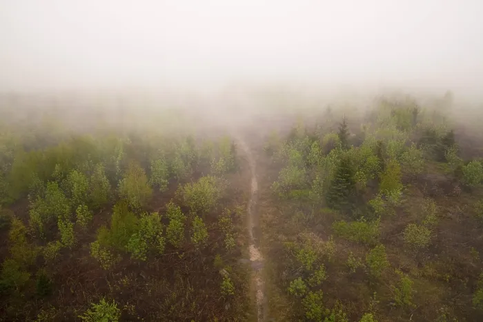 Framed Print : Fog on Mt. Mooskopf, view from the tower on the small birch forest