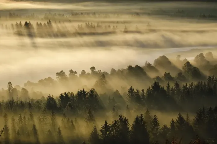 Framed Print : Fog in the Pupplinger Au at sunrise