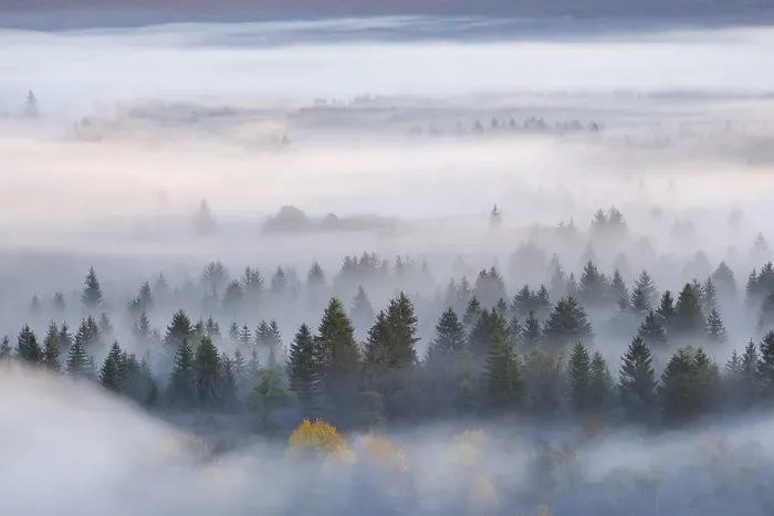 Framed Print : Fog in the Pupplinger Au at sunrise