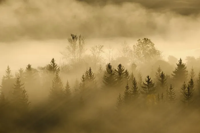 Framed Print : Fog in the Pupplinger Au at sunrise Framed Print : Fog in the Pupplinger Au at sunrise
