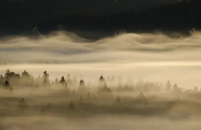 Framed Print : Fog in the Pupplinger Au at sunrise Framed Print : Fog in the Pupplinger Au at sunrise