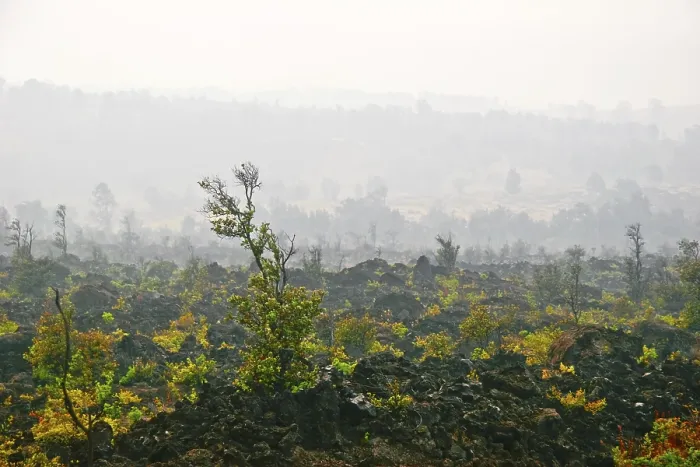 Framed Print : Foggy landscape of the valley, where the volcano was