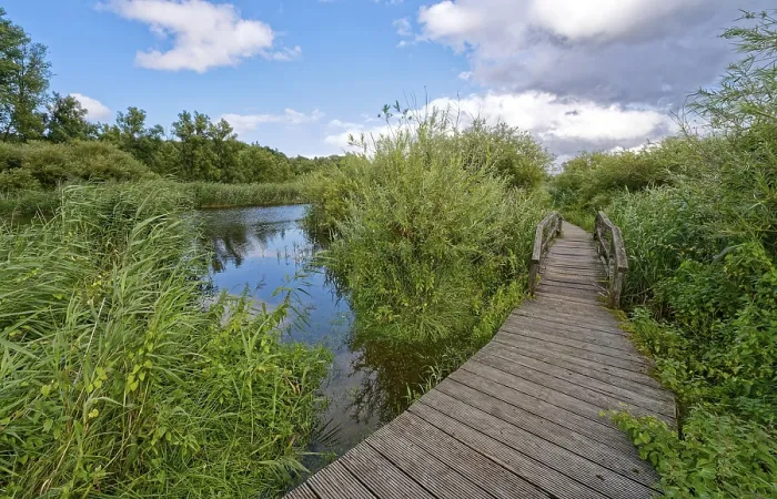 Framed Print : Footpath and bridge on the River Trave in Brenner Moor