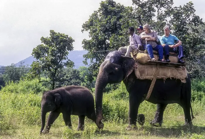 Framed Print : Foregin tourists to observe wildlife on an elephant in Bandipur Sanctuary