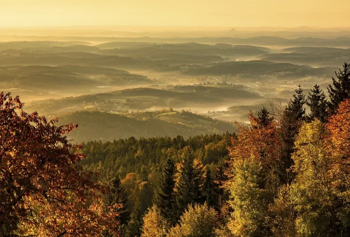 Framed Print : Forest in autumn with morning mist in the valley