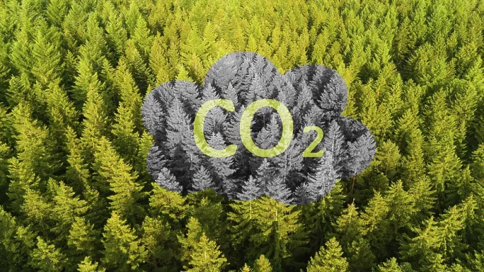 Framed Print : Forest and co2 greenhouse emissions