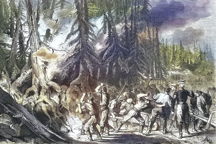 Framed Print : Forest Fire, Fire of a Fir Forest near St