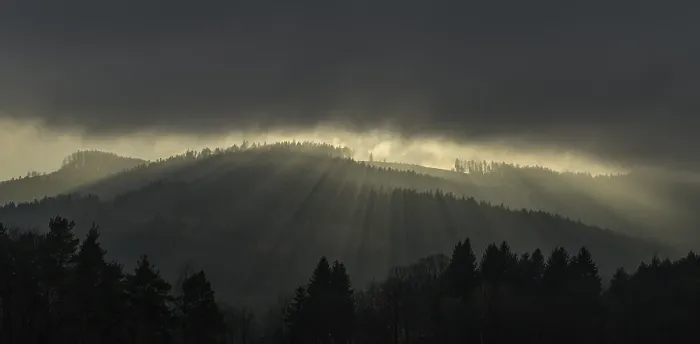 Framed Print : Forest with fog in backlight, Kaumberg