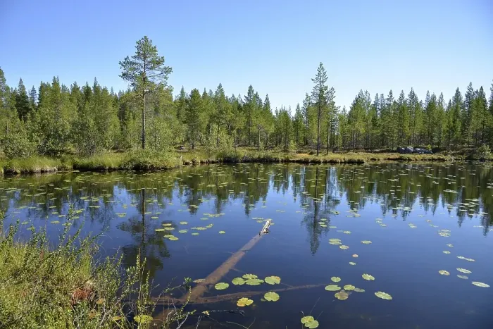 Framed Print : Forest lake, Boertnan, Ljungdalen