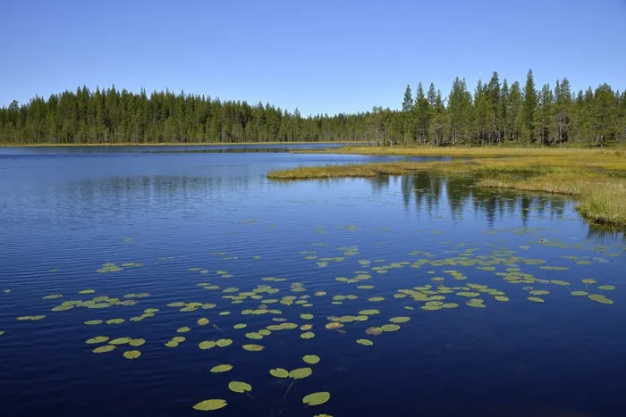 Framed Print : Forest lake, Bortnan, Ljungdalen