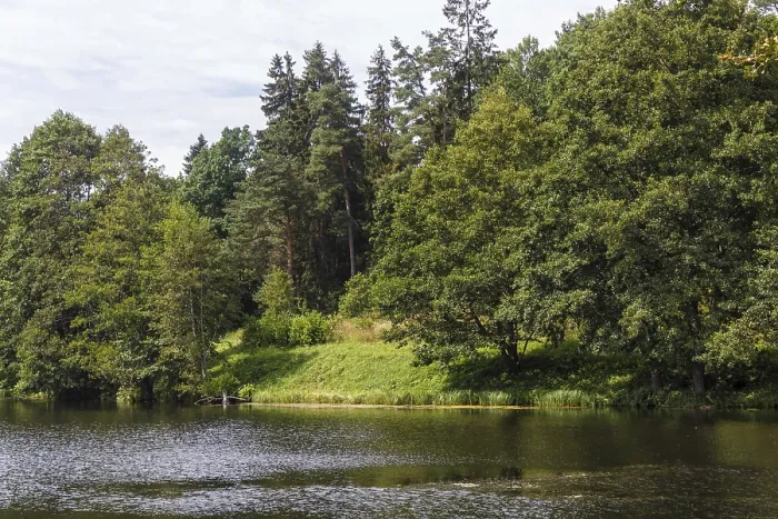 Framed Print : A forest lake surrounded by trees