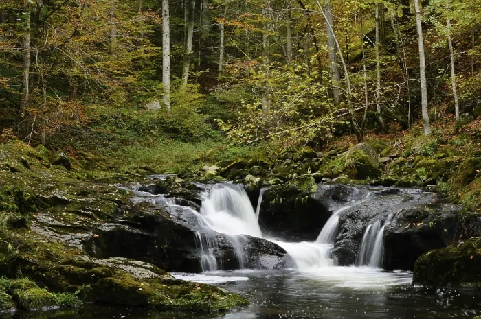 Framed Print : Forest landscape with a small waterfall and autumn foliage Framed Print : Forest landscape with a small waterfall and autumn foliage