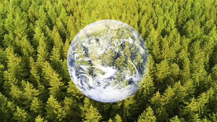 Framed Print : Forest, planet earth with trees Framed Print : Forest, planet earth with trees