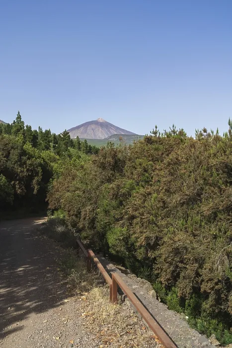 Framed Print : Forest road. Teide volcano in the background
