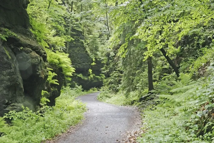 Framed Print : Forest track through the rocky landscape of the saxony swiss