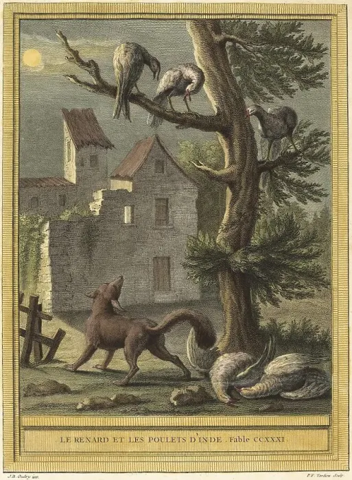 Framed Print : The Fox and the Chickens from India Taking Shelter in a Tree