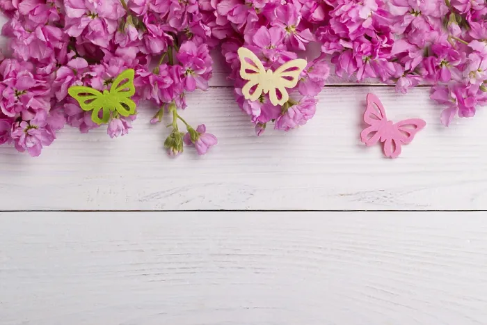 Framed Print : Fragrant pink stock flowers matthiola over white wooden background