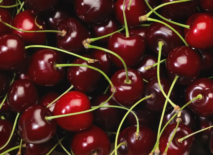 Framed Print : Full frame background showing lots of red cherries Framed Print : Full frame background showing lots of red cherries