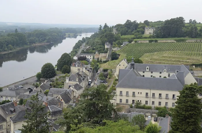Framed Print : France, Chinon, old town, roofs