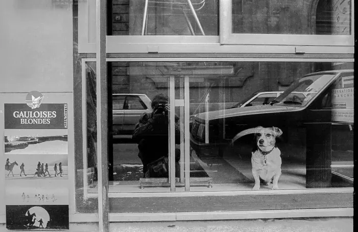 Framed Print : France, Paris, 24.03.1990, Shop window with dog