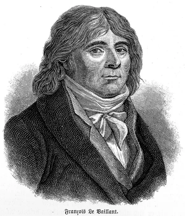 Framed Print : Francois Le Vaillant (1753 1824)