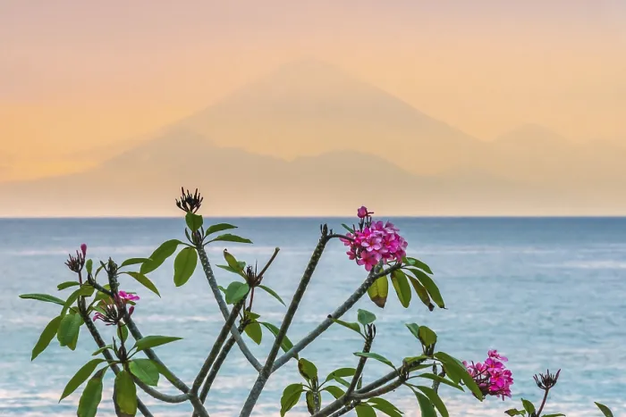 Framed Print : Frangipani (Plumeria) with view from Lombok to Bali