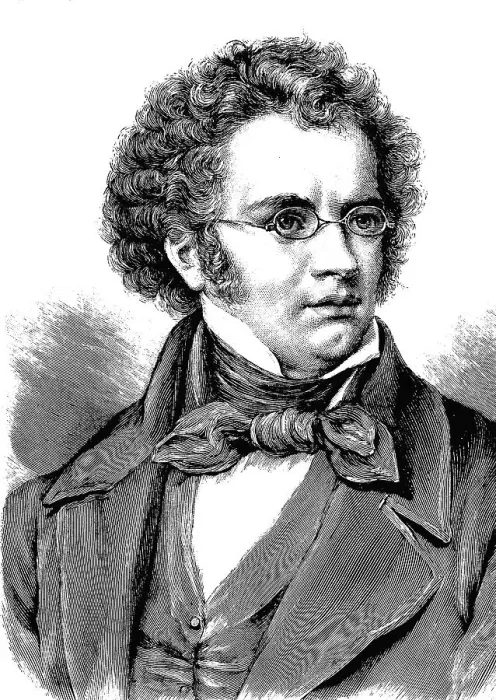 Framed Print : Franz Peter Schubert, 1797 - 1828 Framed Print : Franz Peter Schubert, 1797 - 1828