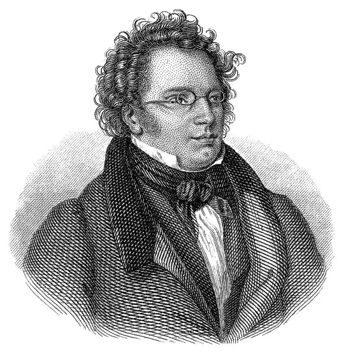 Framed Print : Franz Peter Schubert, 1797 - 1828 Framed Print : Franz Peter Schubert, 1797 - 1828