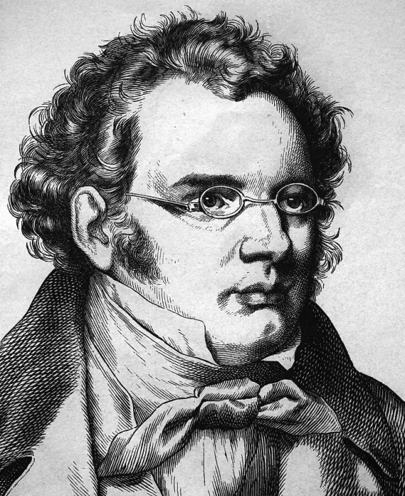 Framed Print : Franz Schubert, 1797 - 1828, composer Framed Print : Franz Schubert, 1797 - 1828, composer