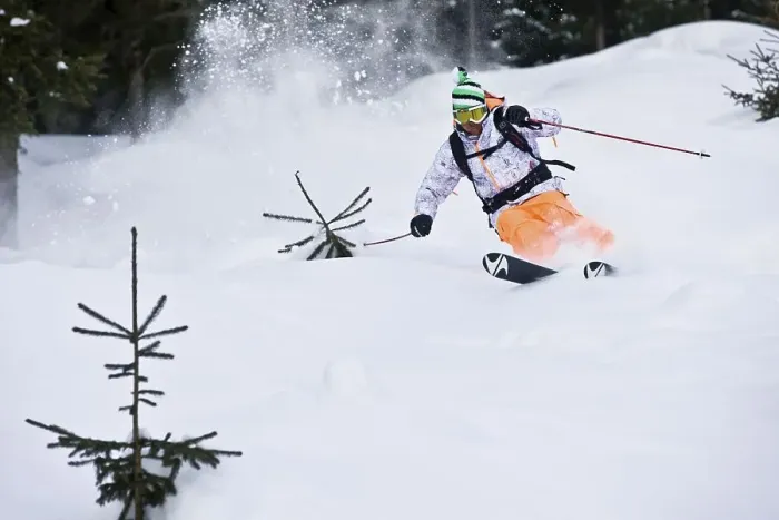 Framed Print : Freestyle skier in the forest, Northern Tyrol