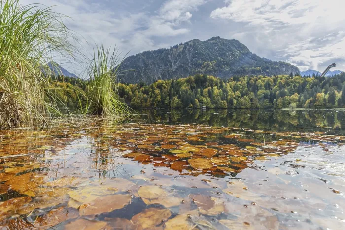 Framed Print : Freibergsee lake in autumn, behind it the Heni-Klopfer ski jump