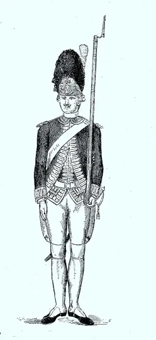 Framed Print : French Grenadier with bearskin cap