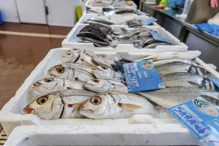Framed Print : Fresh fish sold on traditional market in Zambujeira do Mar