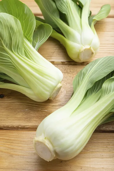 Framed Print : Fresh green bok choy or pac choi chinese cabbage on a brown wooden background