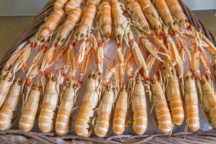 Framed Print : Fresh langoustines at a market in Paris