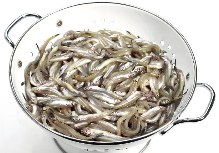 Framed Print : FRESH MELTING (osmerus eperlanus) IN DISH DRAINER